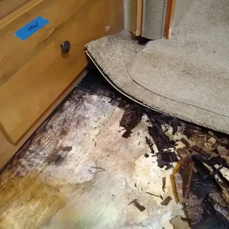 Wood Floor Water Damage in Gold Camp, AZ